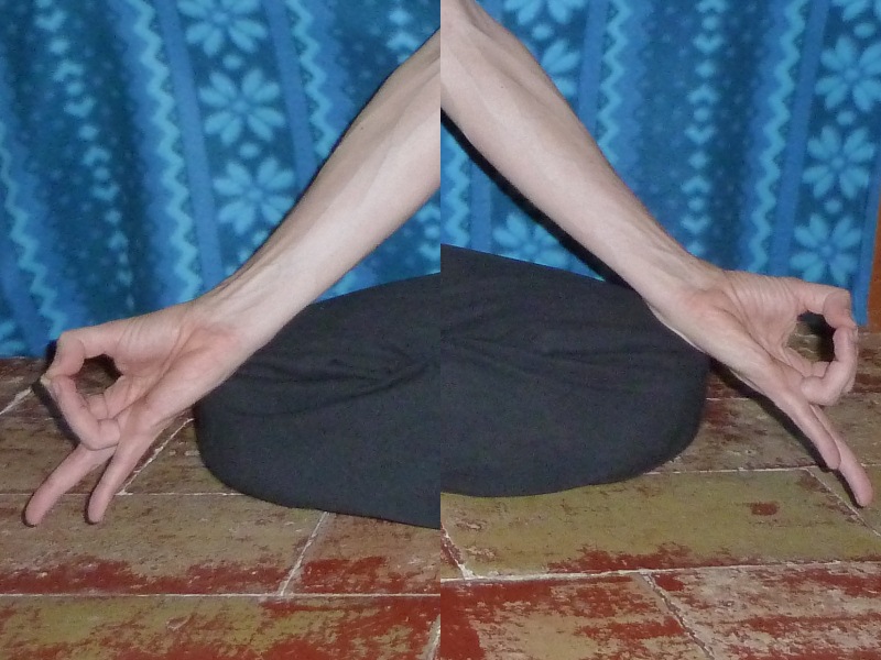 Rudra Mudra